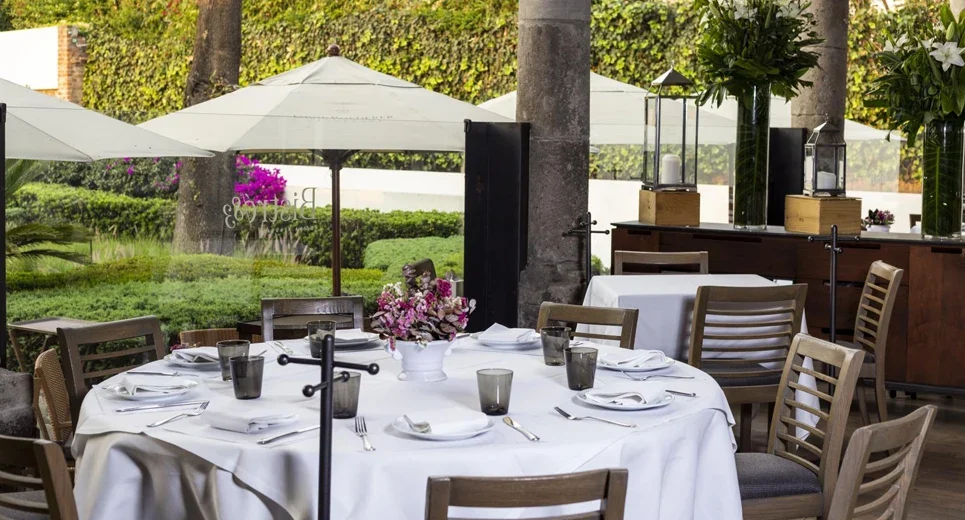 Terraza Bistró
