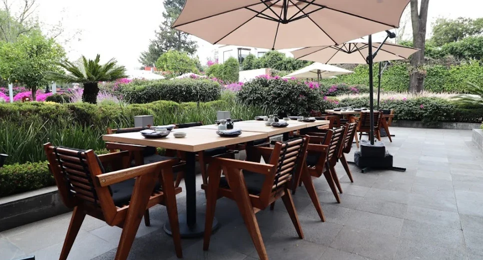 Terraza Ikigai